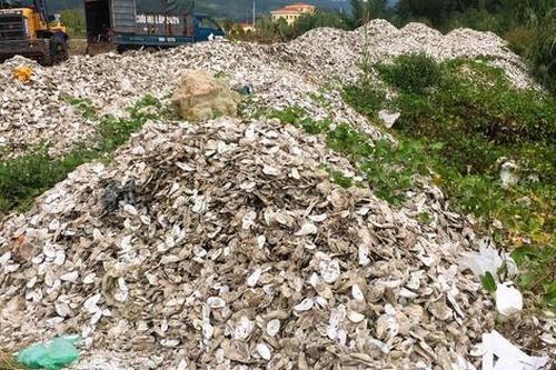Quảng Ninh: Người dân 'nghẹt thở' vì mùi hôi từ những bãi thải vỏ hàu