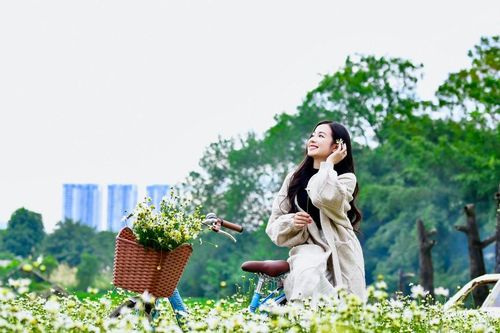 'Hoa báo Đông' dập dìu xuống phố
