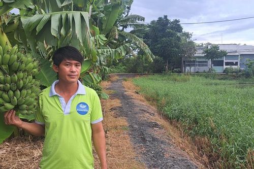 HĐND TP Hồ Chí Minh thông qua nhiều nghị quyết quan trọng
