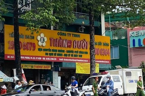 Thành Bưởi doanh thu gần 500 tỷ đồng nhưng lỗ khủng