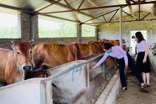 Hỗ trợ sinh kế cho người nghèo vùng bãi ngang ven biển: Tìm cách cho 'cần câu'