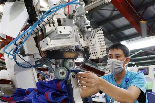 Năng suất lao động và cải cách tiền lương: Bài toán 'con gà-quả trứng'