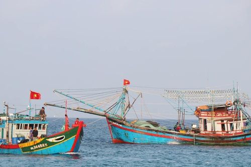 Đề xuất cấm khai thác có thời hạn tại 5 khu vực biển ven bờ Quảng Ngãi