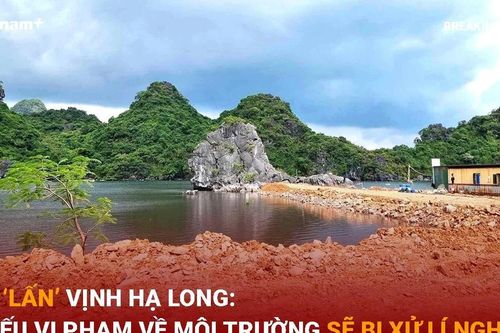 Giám sát dự án 'lấn Vịnh Hạ Long' về thực hiện bảo vệ môi trường