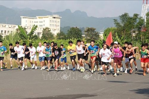Giải Việt dã truyền thống Cúp Báo Hòa Bình năm 2023