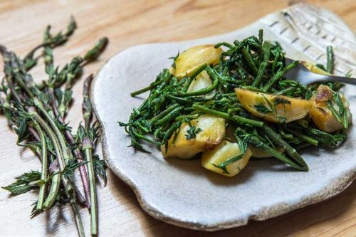 Chồi cây mọc hoang siêu đắt đỏ, giá hơn 23 triệu đồng/kg