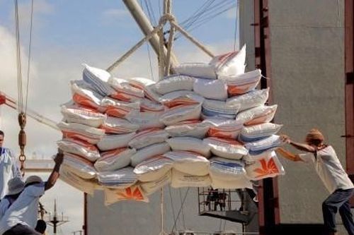 Indonesia không nhập đủ hạn ngạch gạo năm 2023