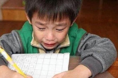 Cậu bé làm văn kể ước mơ được trở thành con vật này, cô giáo đọc xong liền chấm 100 điểm