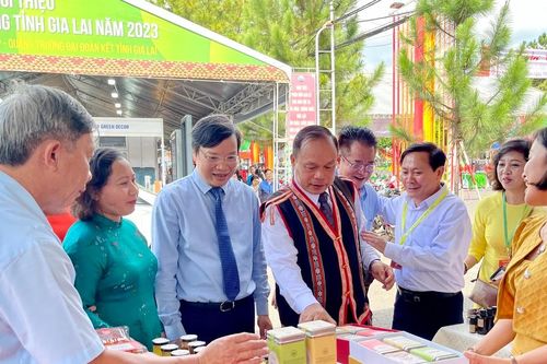 Khai mạc Hội chợ thương mại và giới thiệu sản phẩm nông nghiệp đặc trưng tỉnh Gia Lai năm 2023