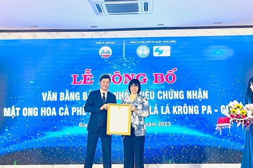 Công bố và trao văn bằng bảo hộ nhãn hiệu chứng nhận 'Mật ong hoa cà phê Gia Lai' và 'Thuốc lá lá Krông Pa-Gia Lai'