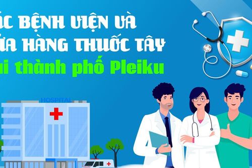 Infographic Các bệnh viện và cửa hàng thuốc tây tại thành phố Pleiku