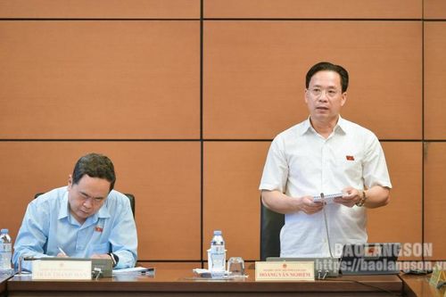 Đại biểu Quốc hội tỉnh đóng góp ý kiến vào một số dự thảo luật và chính sách phát triển chính quyền đô thị tại các thành phố lớn