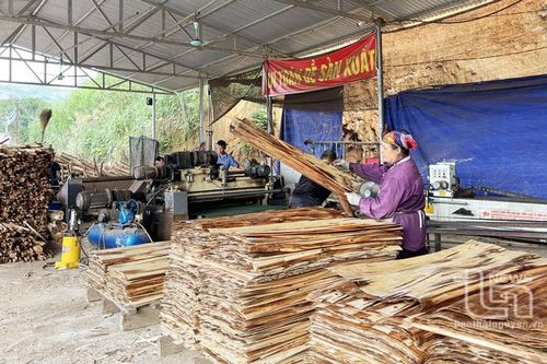 Tràng Xá - No ấm từ những cánh rừng