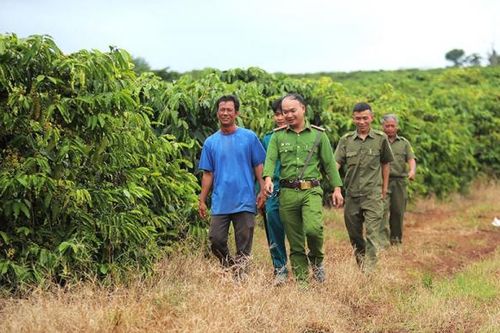 Đảm bảo an ninh trật tự trong mùa thu hoạch cà phê ở Tây Nguyên
