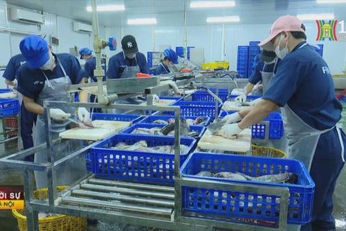Hiệu quả mô hình nuôi thủy sản ứng dụng công nghệ cao