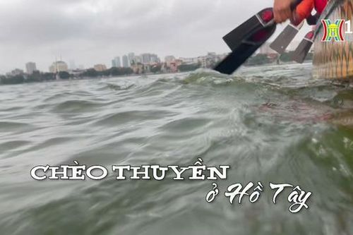 Chèo thuyền rồng ở Hồ Tây| Nhịp sống Hà Nội| 11/11/2023