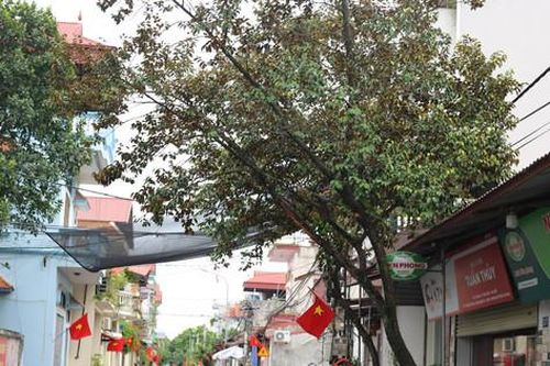 Ứng Hòa chung sức xây dựng miền quê giàu đẹp, văn minh