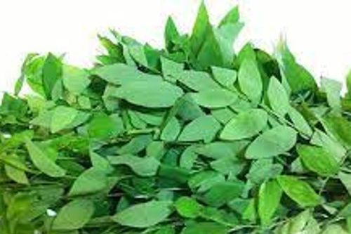 Những loại rau quả thai phụ nên hạn chế