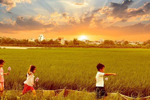 Hương đồng trong gió mùa thu