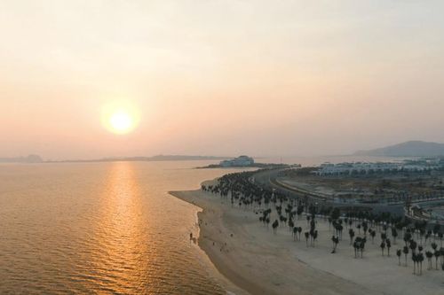 Loài vật có 'của quý' lớn nhất thế giới: Nghe tên là giật mình!