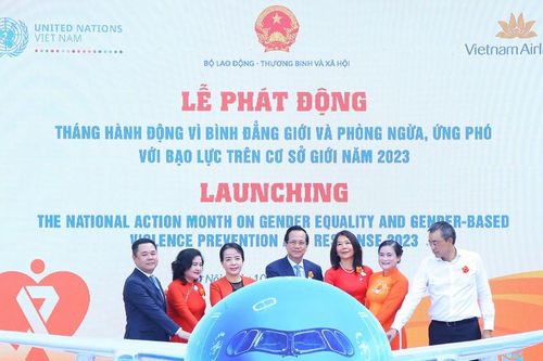 Hỗ trợ người bị bạo lực giới: 'Giăng rộng, giăng kỹ' mạng lưới dịch vụ