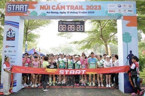 Khoảng 1.000 vận động viên tham gia Giải chạy địa hình Núi Cấm (An Giang)