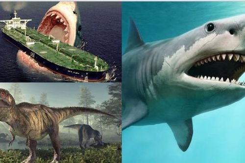 Bí ẩn về quái thú cổ đại Megalodon thống trị đại dương, khủng long cũng chỉ cúi đầu làm 'đàn em'