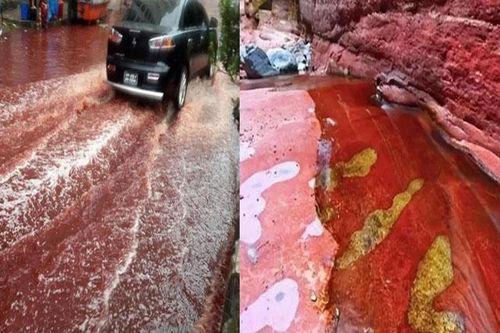 Những cơn 'mưa máu' đầy bí ẩn xuất hiện trên bầu trời Ấn Độ khiến người dân hoang mang, lý do vì sao?