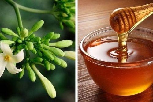 Dù tốt cho sức khỏe nhưng một số người cần cẩn trọng khi uống hoa đu đủ đực ngâm mật ong