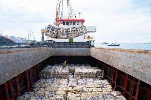 Xuất khẩu clinker và xi măng trong tháng 10 tăng nhẹ