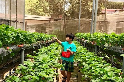Đưa 'câu chuyện' vào cà phê và du lịch nông nghiệp Gia Lai