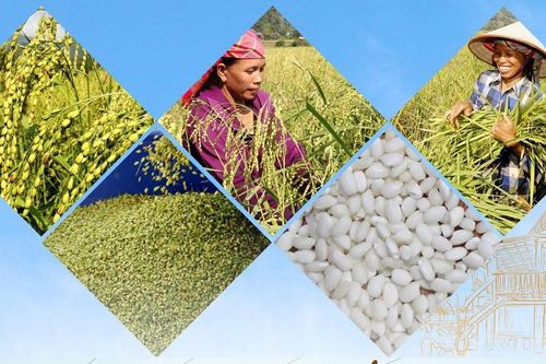 Hương trời, vị đất Thẳm Dương