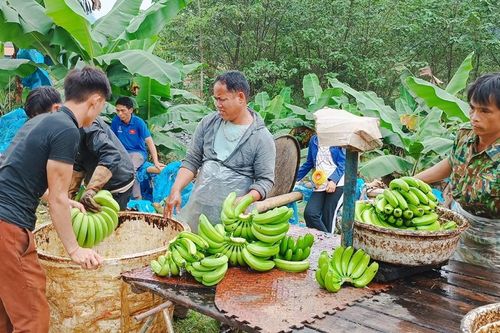 Tạo đà cho nông nghiệp hàng hóa ở Mường Khương phát triển