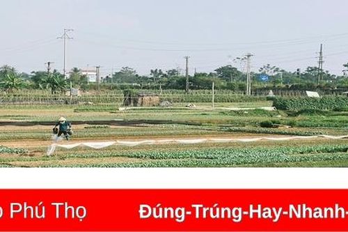 Ấm áp vụ Đông