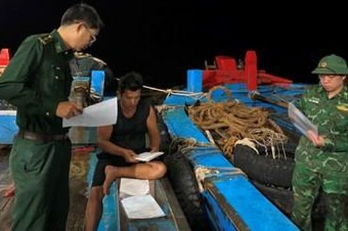 Bắt 2 tàu hành nghề giã cào trái phép