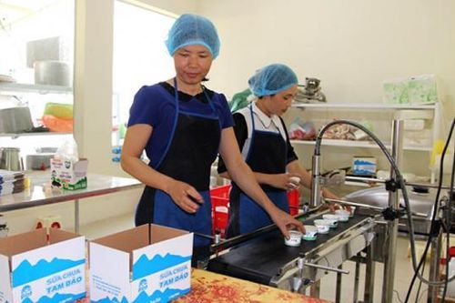 Vĩnh Phúc: Đẩy mạnh ứng dụng khoa học công nghệ vào sản xuất nông nghiệp ở các hợp tác xã