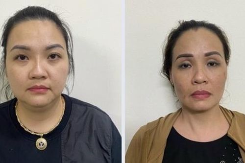 Hai chị em điều hành đường dây mang thai hộ với giá 1,5 tỷ đồng/thai đôi