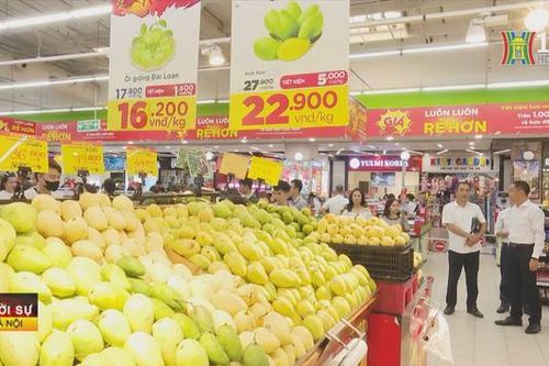 Kỳ vọng từ tháng khuyến mại dịp cuối năm