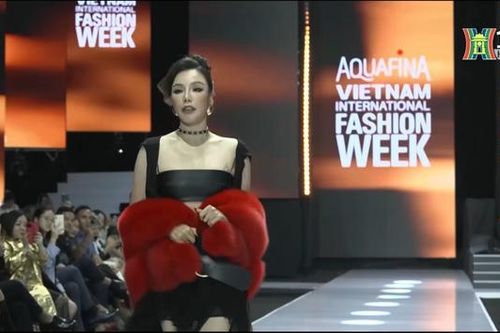 Hồ Quỳnh Hương bất ngờ xuất hiện tại VIFW23