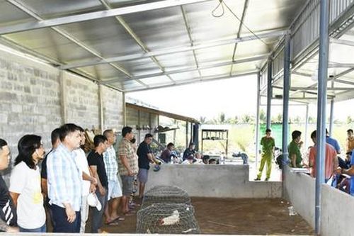 Đột kích trường gà, bắt giữ 21 đối tượng, thu 330 triệu đồng