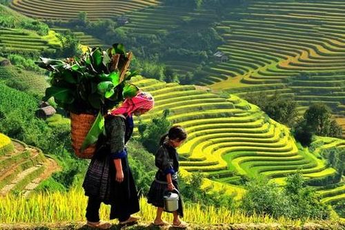 Sa Pa và Cần Thơ lọt top 10 'điểm đến mùa thu hấp dẫn nhất châu Á'