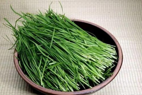 Lá hẹ chữa được bệnh gì?