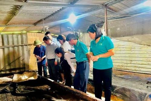 Nở rộ sản xuất tuần hoàn