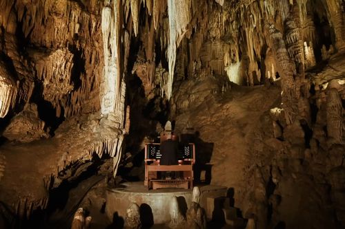 Nghe 'Bản tình ca ánh trăng' từ đàn Organ lớn nhất thế giới
