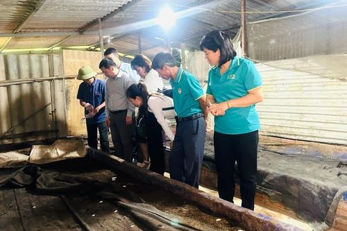 Hà Nội: Xây dựng nhiều mô hình xử lý rác thải nông nghiệp hiệu quả