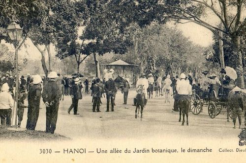 Ảnh = Ký ức = Lịch sử (kỳ 85): Đến Vườn bách thảo Hà Nội