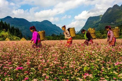 Xây dựng thương hiệu du lịch Hà Giang là điểm đến an toàn, hấp dẫn, đặc sắc