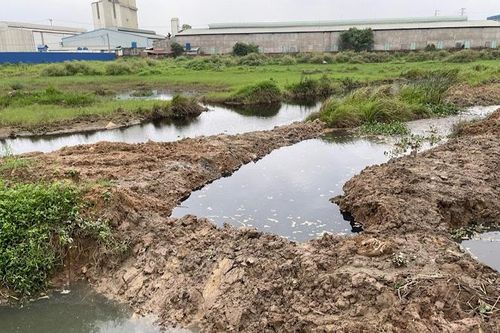 Phạt 3 công ty hơn 1 tỷ đồng vì gây ô nhiễm môi trường