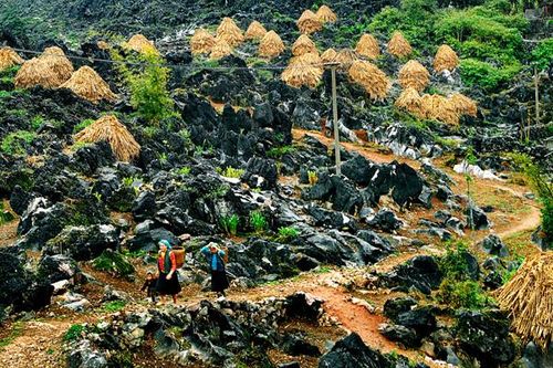 Xây dựng Công viên Địa chất toàn cầu UNESCO Cao nguyên đá Đồng Văn thành khu du lịch quốc gia