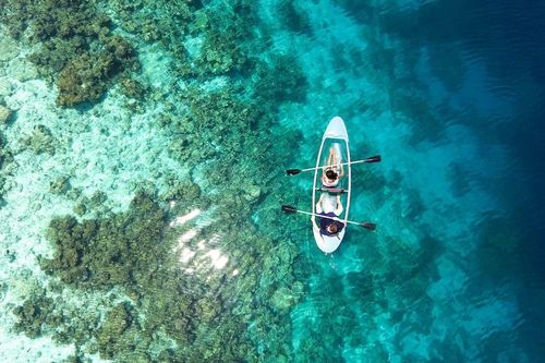 Ngắm rạn san hô lớn nhất thế giới vào mùa sinh sản
